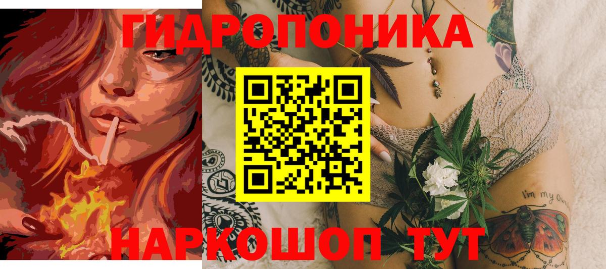 Шишки марихуана план  Конопля OG Kush  Вход с VPN  Кызыл 