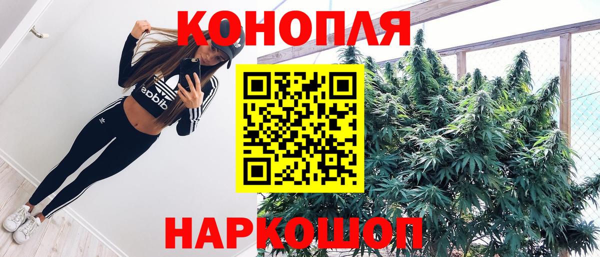 МАРИХУАНА семена Кызыл